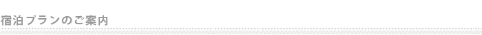 宿泊プランのご紹介