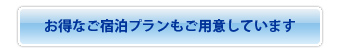 お得なプランのご紹介